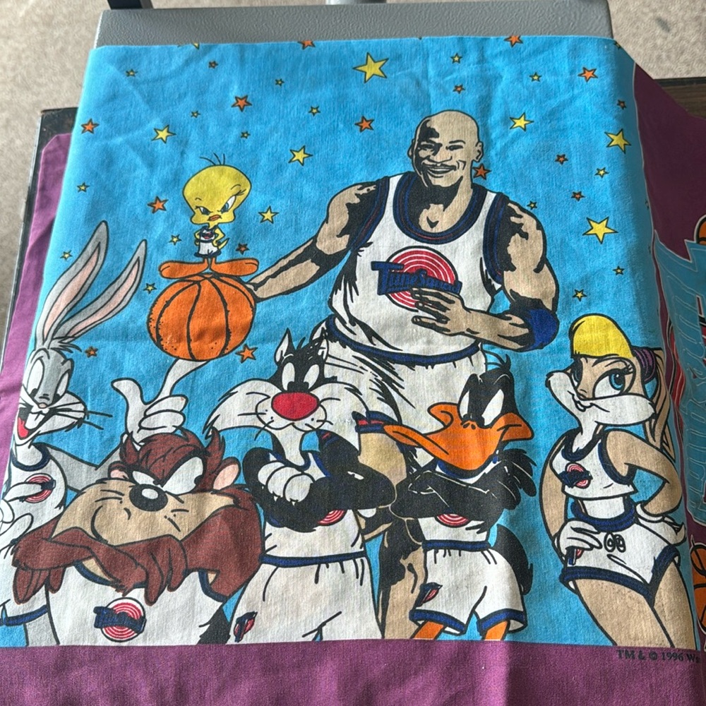 TUNE SQUAD MONSTARS  1996 PILLOW CASE